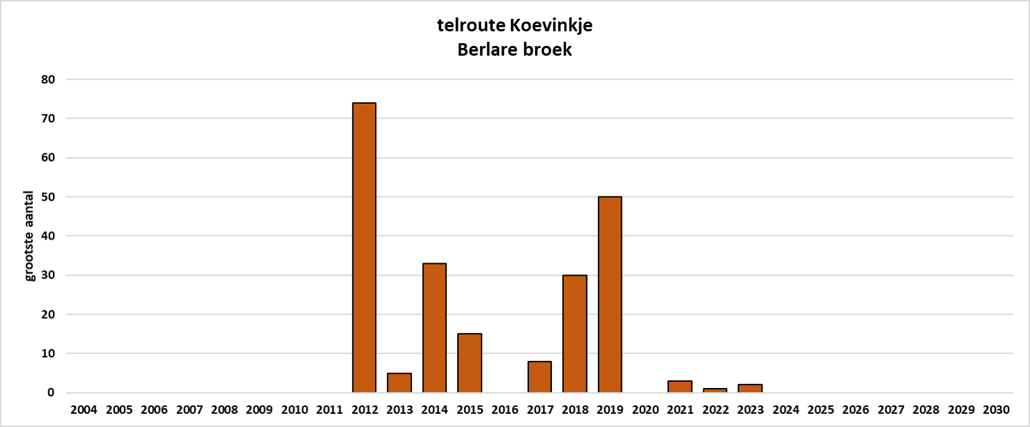 Aphantopus hyperantus Berlare-Broek